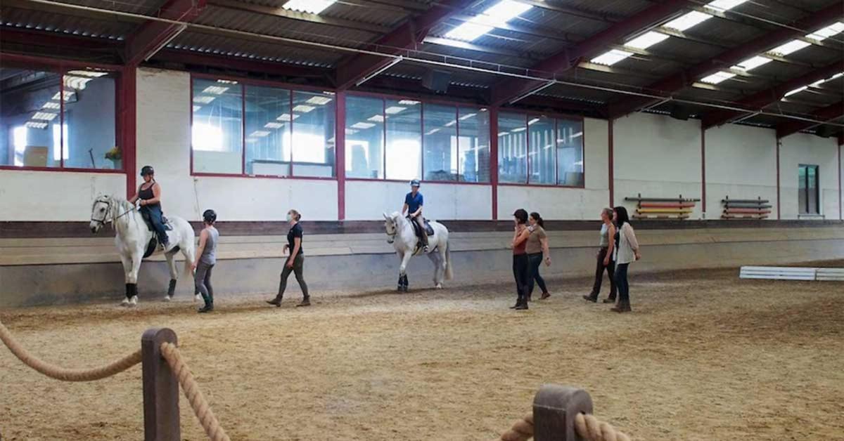Equi-Art Reitanlage Schwall Exterior foto