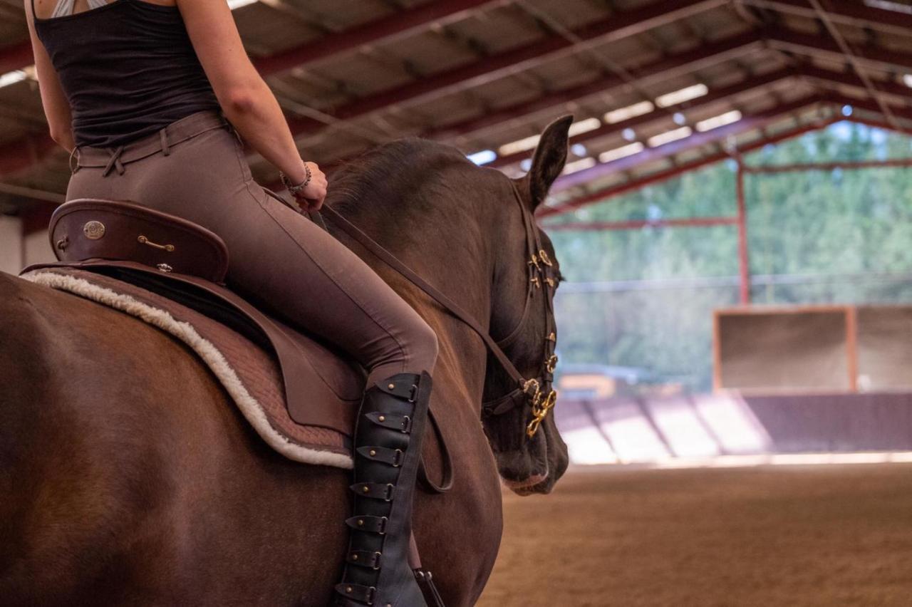 Equi-Art Reitanlage Schwall Exterior foto