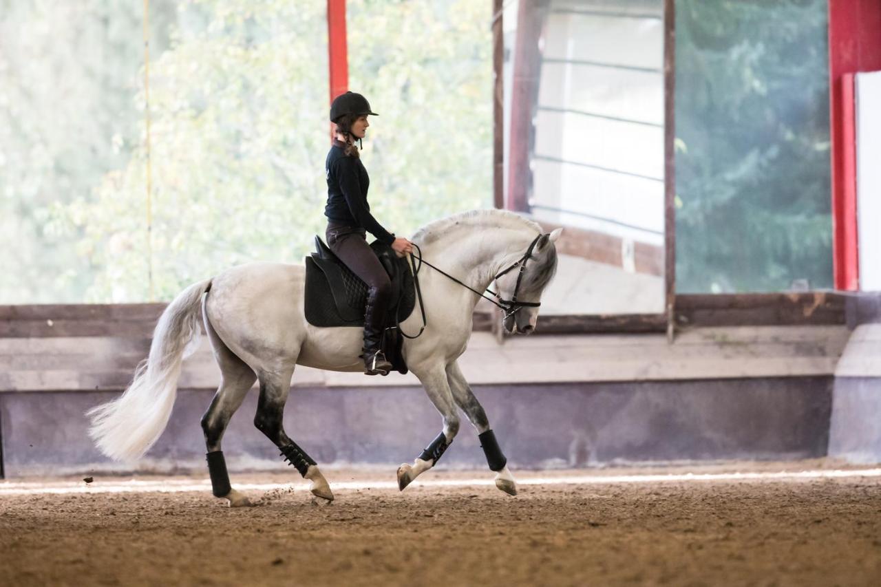 Equi-Art Reitanlage Schwall Exterior foto